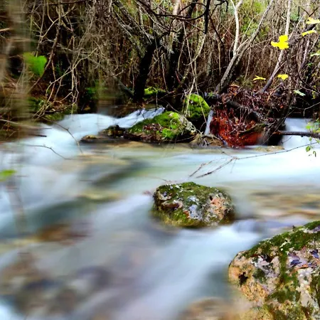La Casa Del Naturalista *