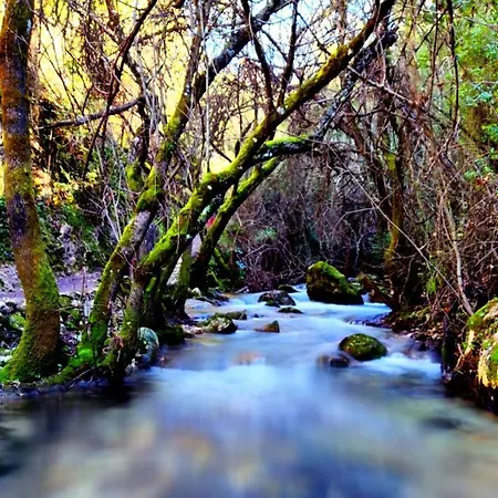 Tatil Evi La Casa Del Naturalista *