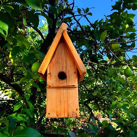 La Casa Del Naturalista * El Bosque