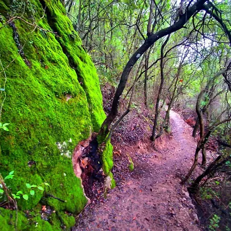 La Casa Del Naturalista El Bosque